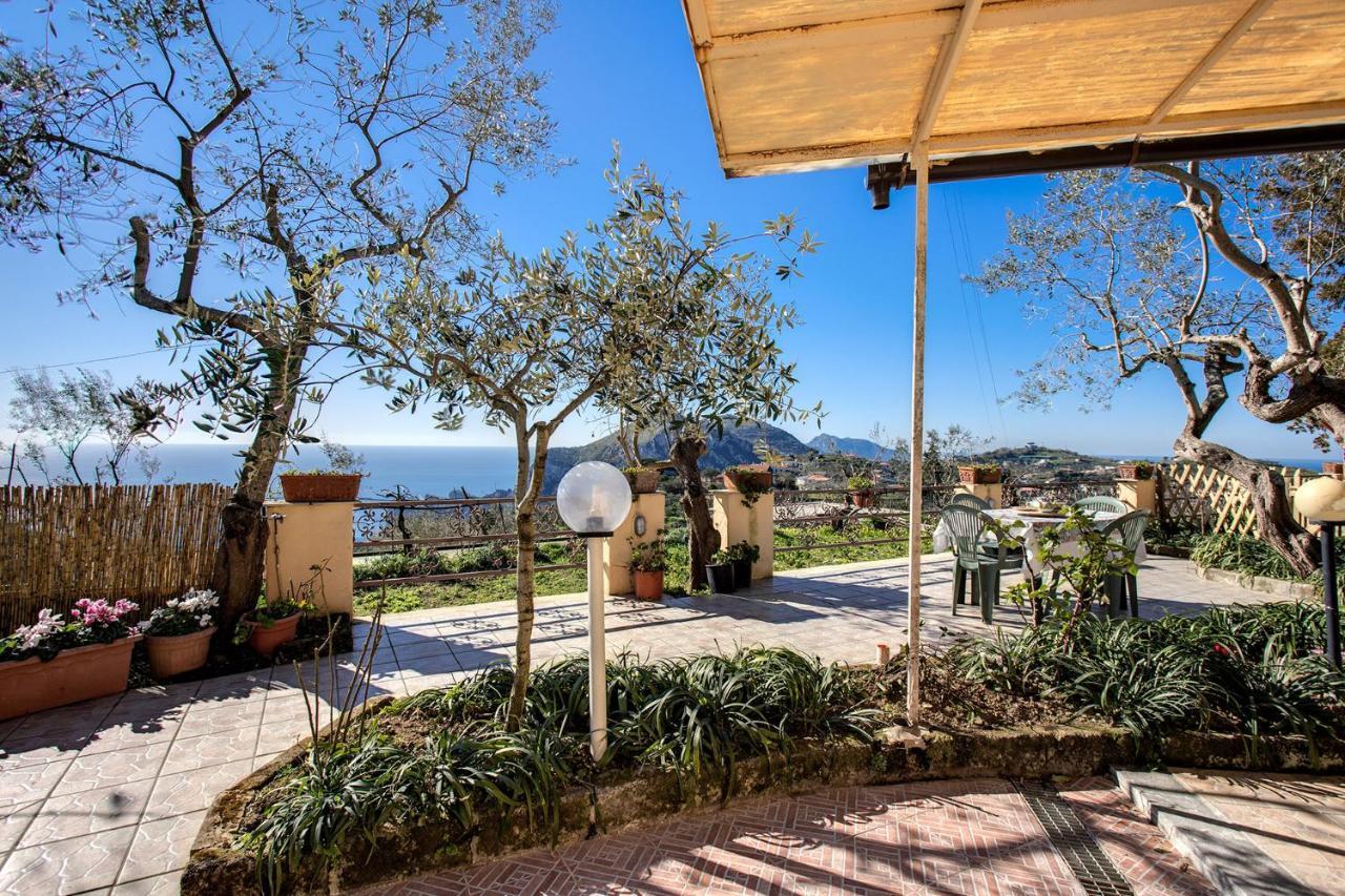 Il Pioppo - Country House Sea View Massa Lubrense Kültér fotó