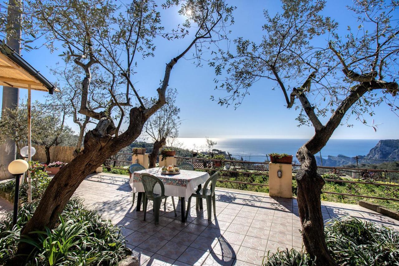 Il Pioppo - Country House Sea View Massa Lubrense Kültér fotó